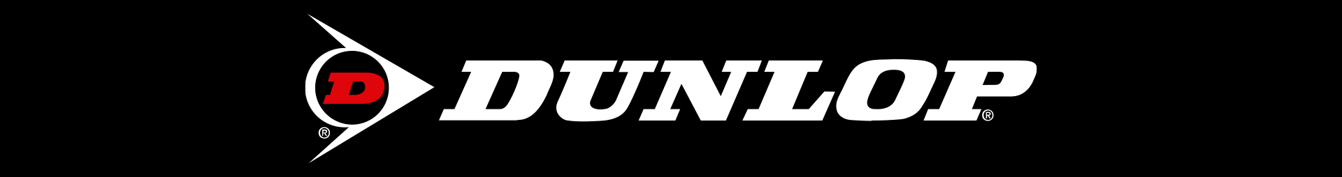 Banner Grande DUNLOP